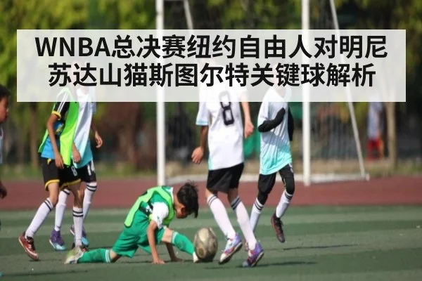 WNBA总决赛纽约自由人对明尼苏达山猫斯图尔特关键球解析
